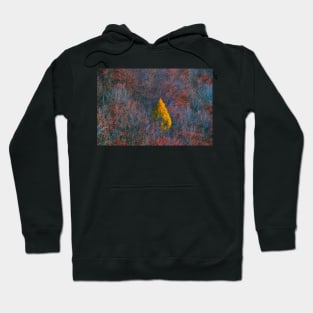 Odd one out Hoodie